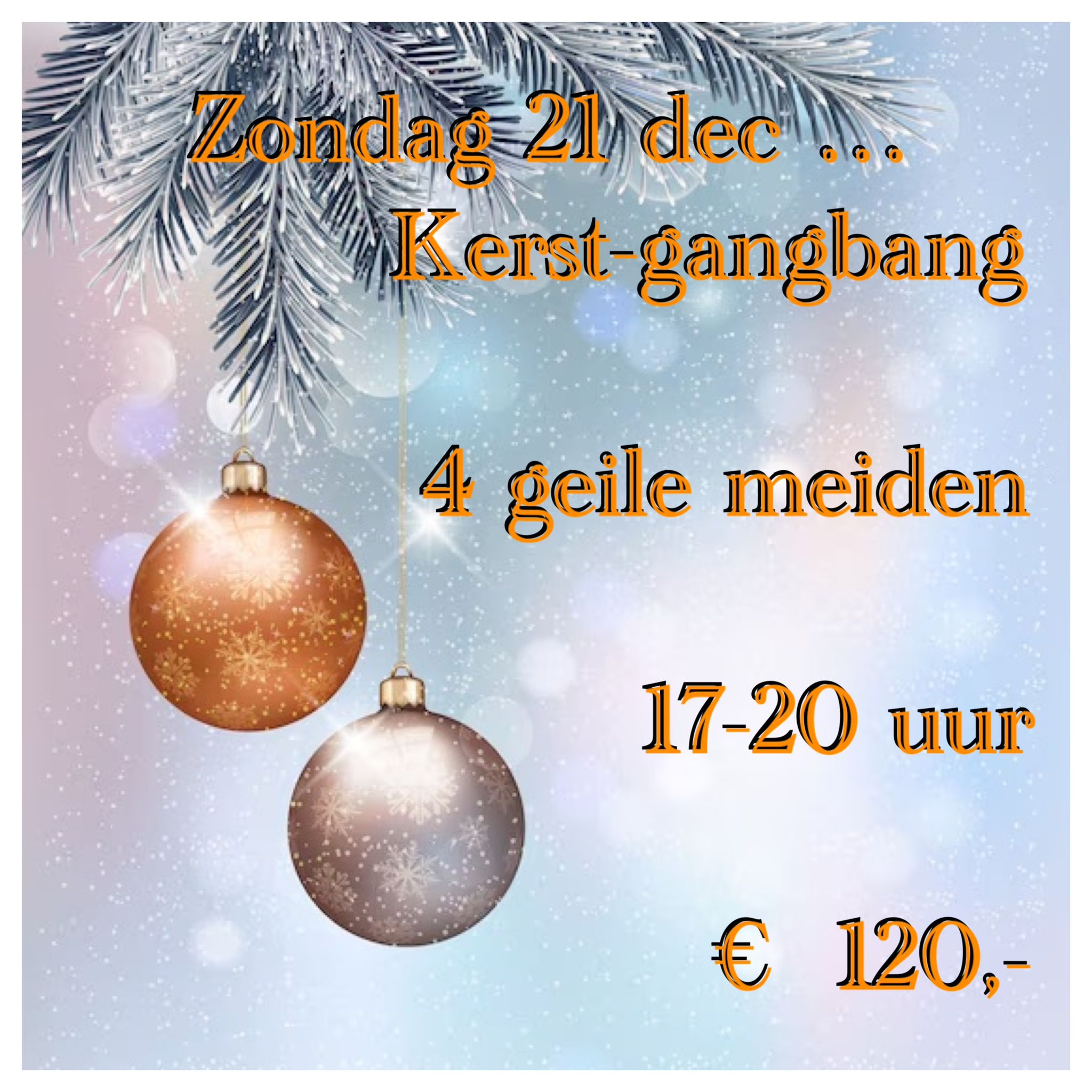 Kerstactie privehuis Den Haag